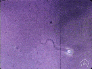 01de605c7ba6468d7b580e5f3ecb71dc.gif