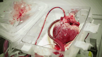 2773742e8ede8626dc8ffbd8b7301775.gif