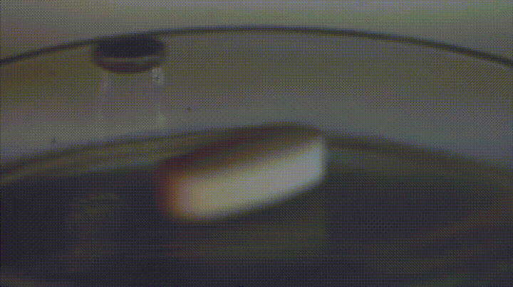 294594a304e8b9b3783ec4b19aad4f16.gif