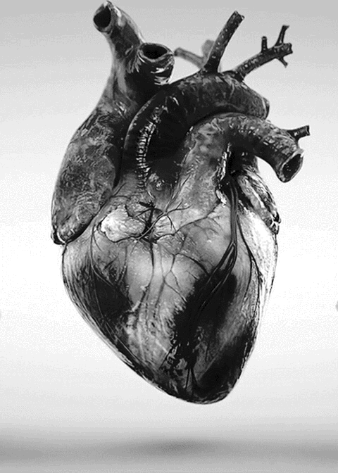 Heart-full.gif