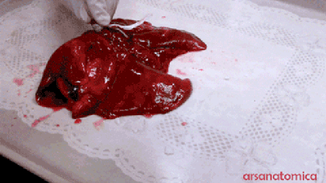 ca519ec00d74ceddd31ffaf6ce06900c.gif