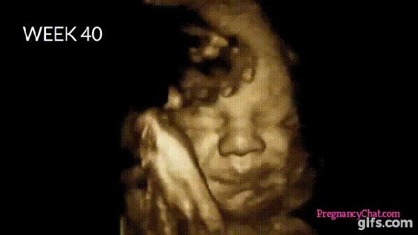 Watch-The-Complete-Journey-Of-A-Child-In-The-Mother-s-Womb.-This-Is-Amazing-8117-8.gif